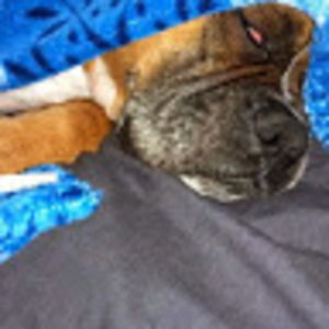 Meet your Posher, Don